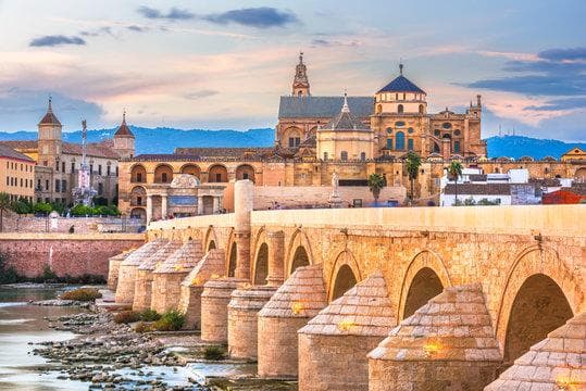 Visita completa desde Málaga a Córdoba