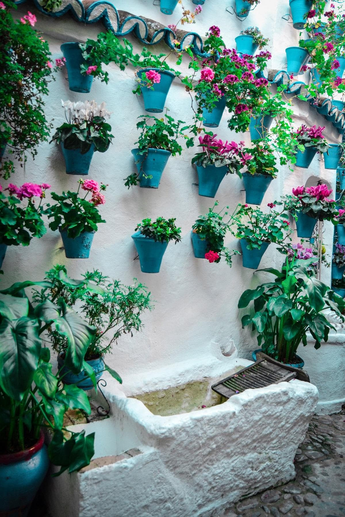 Patios cordobeses