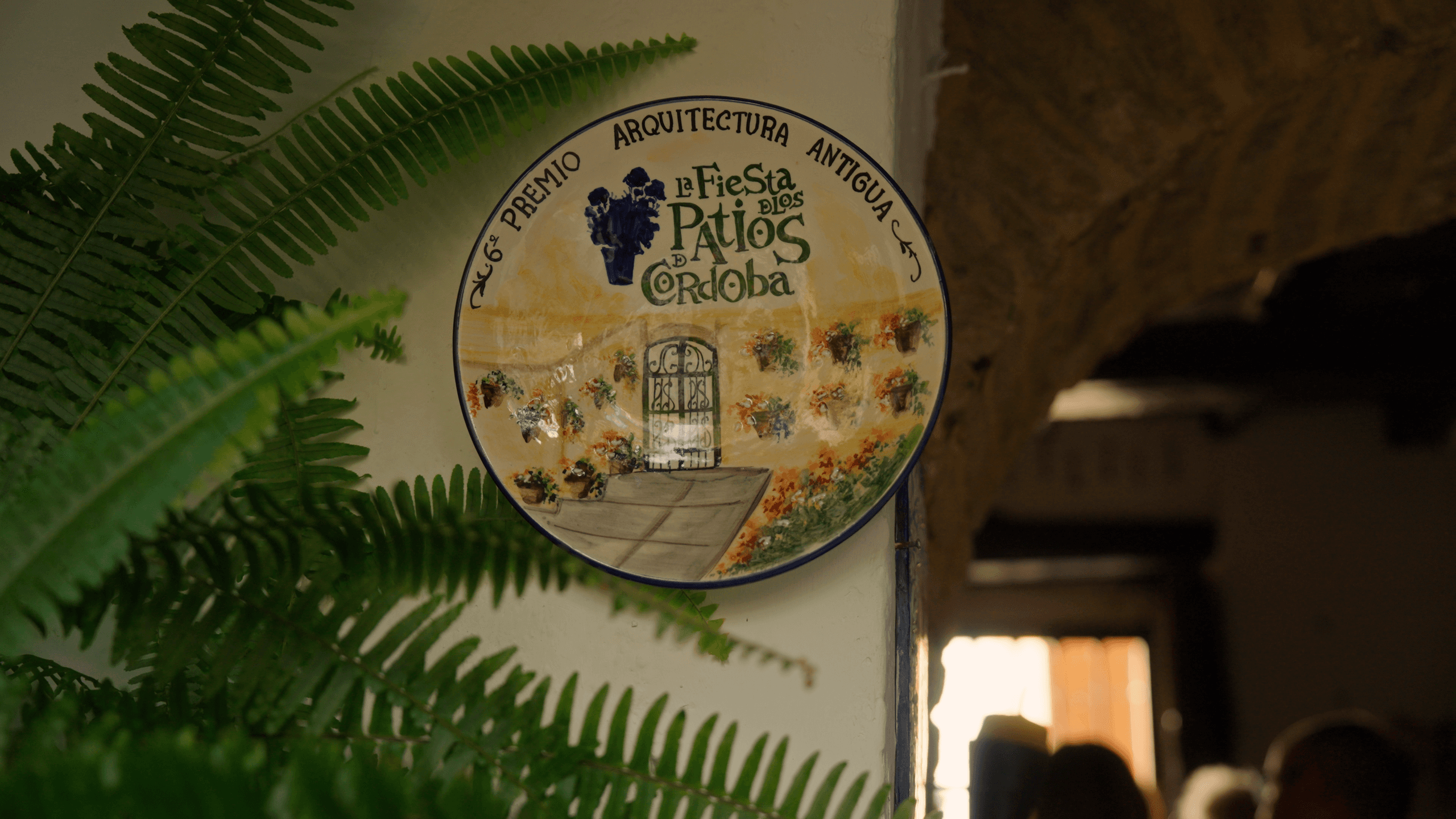 VISITA GUIADA PATIOS CORDOBESES