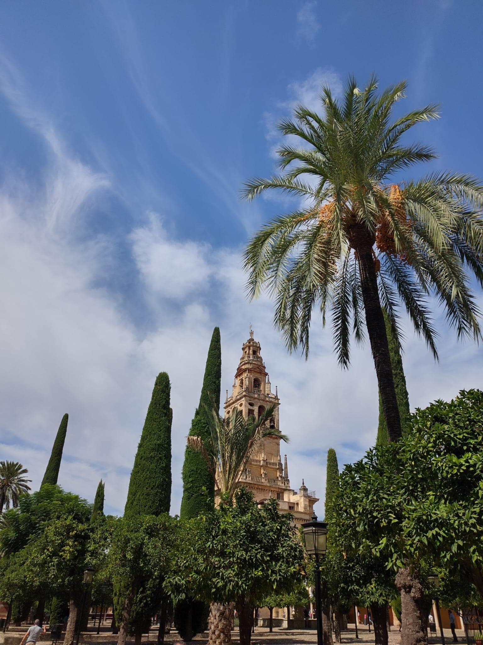 Visita guiada por la Mezquita y Alcázar